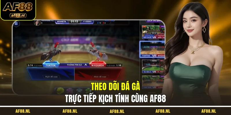 theo-doi-da-ga-truc-tiep-kich-tinh-cung-af88