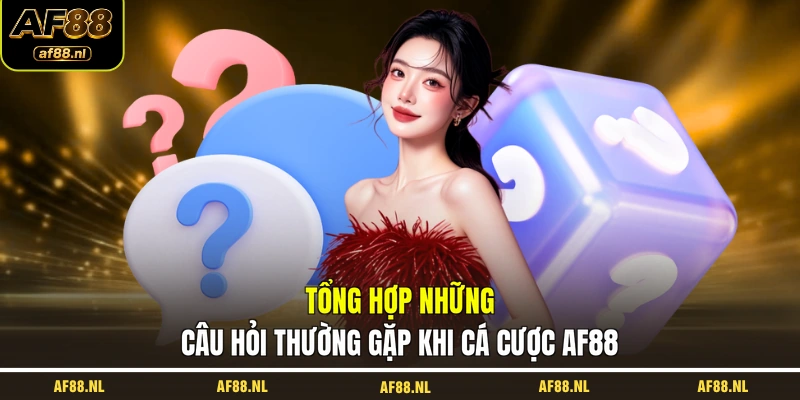 tong-hop-nhung-cau-hoi-thuong-gap-khi-ca-cuoc-af88